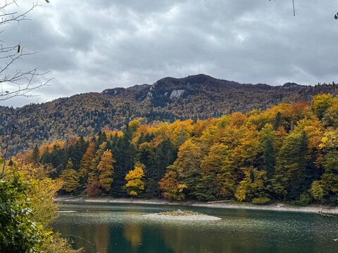 Autumn forest on a mountain slope and a lake under a cloudy sky.