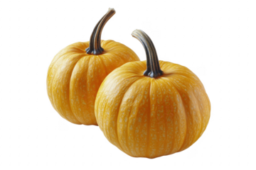 Orange gourds with stems isolated on a transparent background