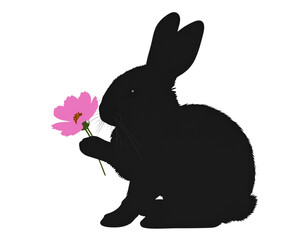 Playful Bunny Silhouette Sitting and Holding Fresh Leaf, Side View, isolated