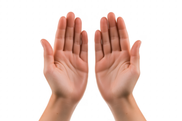 Open palms facing forward isolated on a transparent background