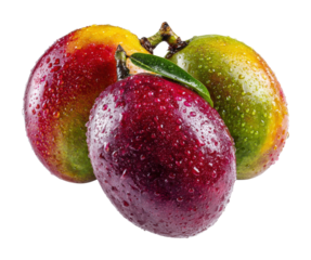 Freshly gathered juicy plums nature food isolated on transparent background