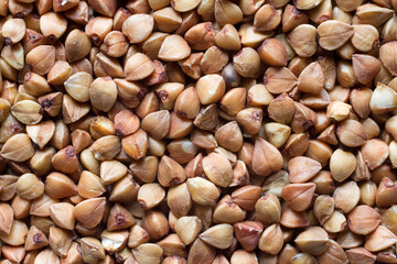 Buckwheat close-up. Texture of raw natural buckwheat