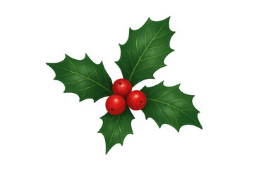 Holly christmas plant illustration featuring green leaves and red berries, seasonal decorative element on transparent background