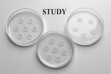 Clear Petri Dishes on Study Paper for Laboratory Research Use