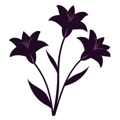  hemerocallis stella doro silhouette on white background