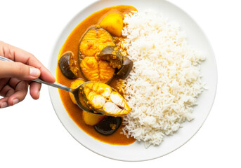 Overhead shot of fish curry with rice isolated on transparent background