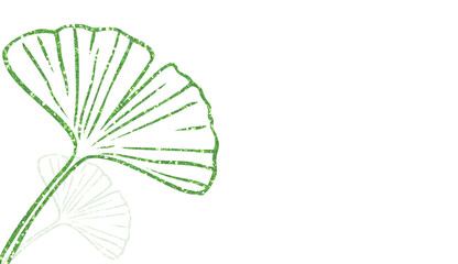 Elegant  Green Glitter Ginkgo Biloba Leaf with Subtle Shadow