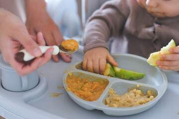  The plate of healthy food for baby. Mother feeding her baby son. Mother giving healthy food to her adorable child at home