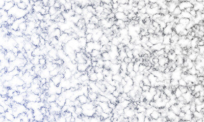 Elegant Marble Stone Texture Background. White and Black Veins Seamless Pattern Surface Structure