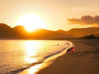 Aerial sunrise view of Merese Hill in Lombok, Indonesia, with glowing sky, green hills, and turquoise sea — scenic tropical landscape