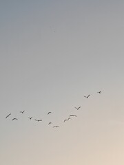 Twilight Serenity