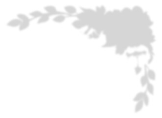 Dense Tropical Foliage Shadow Overlay Corner Effect on Transparent