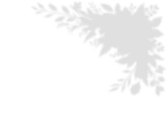 Obraz premium Dense Tropical Foliage Shadow Overlay Corner Effect on Transparent
