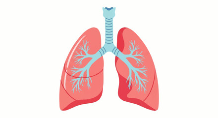 A 2D illustration of a human lung anatomy on a white background, showcasing detailed trachea and bronchi.