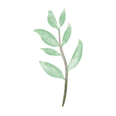 Watercolor Green Leaf Botanical Illustration 2