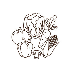 Vegetable Garden Line Drawing Collection