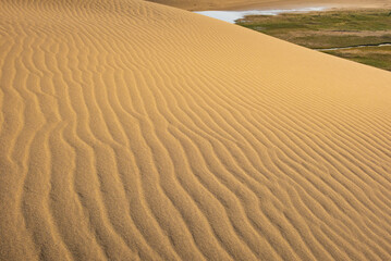 砂漠の砂丘と風紋（日本の鳥取の鳥取砂丘）