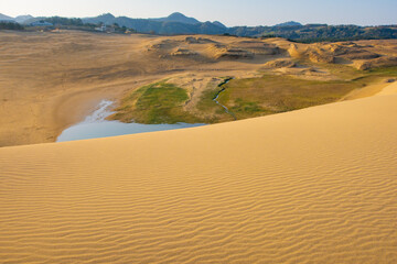 日本の鳥取の鳥取砂丘の砂丘の風紋とオアシスの風景