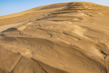 日本の鳥取の鳥取砂丘の砂丘と砂の山の風紋