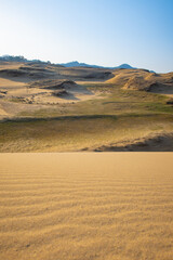 日本の鳥取の鳥取砂丘の砂丘とオアシスの風景