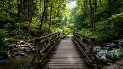 Wooden walkway spans across a flowing stream deep within a lush green forest