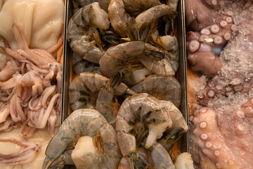Fresh shrimp and octopus on ice. Seafood assortment at fish market. Marine protein ingredients for cooking. Raw shellfish culinary background. Octopus and prawns chilled display.