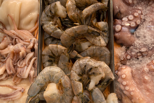 Fresh shrimp and octopus on ice. Seafood assortment at fish market. Marine protein ingredients for cooking. Raw shellfish culinary background. Octopus and prawns chilled display.