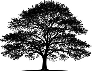 A detailed silhouette of a mature tree with a full canopy. Solid black against a white background