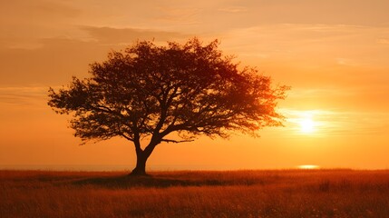 Obraz premium Solitary tree silhouette dominates a vibrant orange horizon during sunrise or sunset