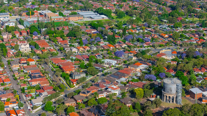 Panorama aerial drone view of western Sydney Suburbs of Canterbury Burwood Ashfield Marrickville Campsie with Houses roads and parks in Sydney New South Wales NSW Australia