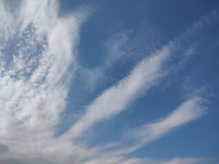 東京の空(25.10.30)