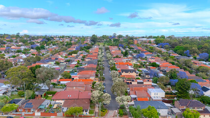 Panorama aerial drone view of western Sydney Suburbs of Canterbury Burwood Ashfield Marrickville...