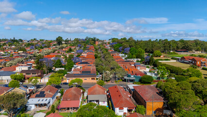 Fototapeta premium Panorama aerial drone view of western Sydney Suburbs of Canterbury Burwood Ashfield Marrickville Campsie with Houses roads and parks in Sydney New South Wales NSW Australia