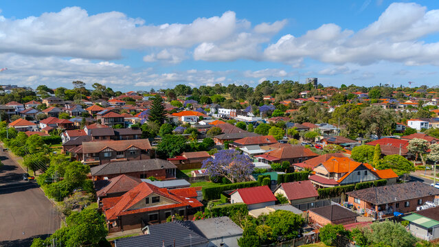 Panorama aerial drone view of western Sydney Suburbs of Canterbury Burwood Ashfield Marrickville Campsie with Houses roads and parks in Sydney New South Wales NSW Australia
