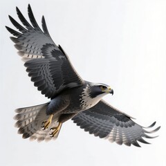 Obraz premium cute cartoon falcon in flight, 3d render, isolated on white, powerful bird of prey, wildlife illustration, freedom symbol