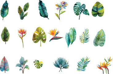 set of colorful leaves