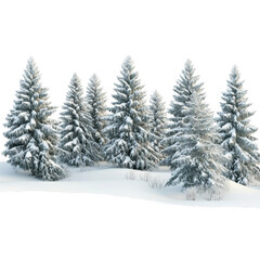 Fototapeta premium Snowy pine trees forest winter scene landscape evergreen conifers woods scenery isolated on transparent background