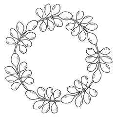 Wreath of branches and leaves. Vector botanical illustration. Autumn round frame of plants with space for text. Hand drawn black graphic art. Natural design for Thanksgiving, packaging and logos