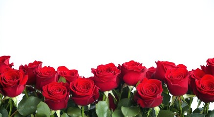 Obraz premium A vibrant arrangement of red roses, beautifully displayed with lush green leaves, ideal for celebrations and romantic occasions.