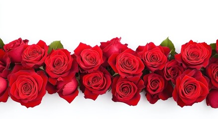 Obraz premium A vibrant display of red roses arranged elegantly, symbolizing love and beauty against a clean white background.