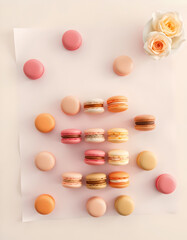 Pastel Macaron Collection: Elegant French Treats