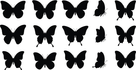Butterfly silhouette vector, wing shape illustration, insect pose artwork, flying butterfly design, cad drawing flat vector illustration © Masum's World