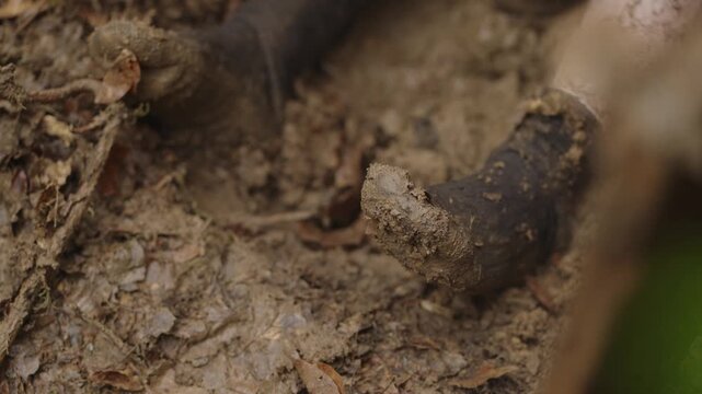 Person's Feet Covered In Mud While Lying In The Pit During Interrogation. - closeup shot