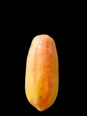 Ripe papaya — the tender glow of life’s sweetness ripened by time.
Its amber flesh speaks of warmth, nourishment, and quiet abundance.
A fruit of the earth,and the soft passage from green to gold.