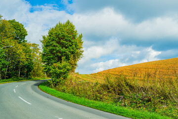 光と影の丘、北海道美瑛　Hills of Light and Shadow, Biei Hokkaido
