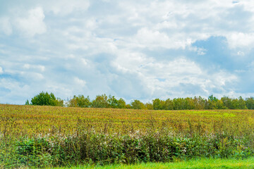 光と影の丘、北海道美瑛　Hills of Light and Shadow, Biei Hokkaido