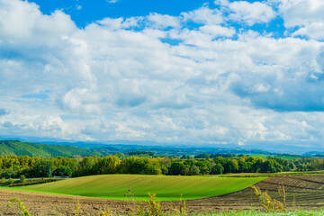 光と影の丘、北海道美瑛　Hills of Light and Shadow, Biei Hokkaido