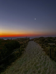 Starry night, the dark skies of South Australia