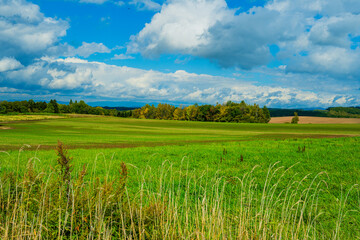 光と影の丘、北海道美瑛　Hills of Light and Shadow, Biei Hokkaido
