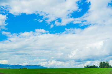 光と影の丘、北海道美瑛　Hills of Light and Shadow, Biei Hokkaido